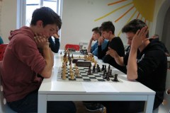 Medregijski šahovski turnir 2019 (15)